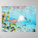 Suche nach mantarochen poster Meeresleben