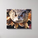 Suche nach das vogel fliegen kunst Flügel