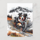 Suche nach kiefernwald postkarten Aquarell