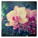 Suche nach rosa orchidee fliesen Blume