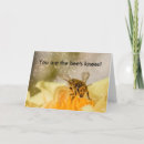 Suche nach die knie der biene postkarten Insekt