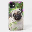 Suche nach mops iphone hüllen Tier
