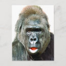 Suche nach lustiger gorilla postkarten Gorillas