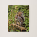 Suche nach nagetier puzzle Wildtiere