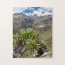 Suche nach asteraceae Afrika