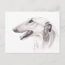 Suche nach borzoi postkarten Wolfhund