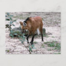 Suche nach südamerikanische karte postkarten Fuchs