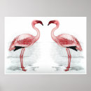 Suche nach flocken poster Flamingos