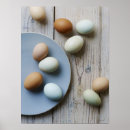 Suche nach foodies poster Photography