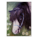 Suche nach stutenfohlen postkarten Colt