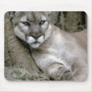 Suche nach gefährdet mousepads Katze