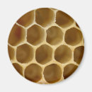 Suche nach bienenwabe magnete Honig