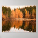 Suche nach weintrauben poster Herbst