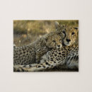 Suche nach kruger puzzle Natur