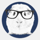 Suche nach der cavy aufkleber Tiere
