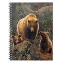 Suche nach braunbär kleine notizbücher Wildtiere