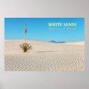 Suche nach yucca poster Wüste