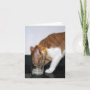 Suche nach leere katze karten Lustig