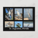 Suche nach tropische vögel postkarten Jede person