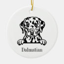 Suche nach dalmatiner ornamente Dalmatinischer hund