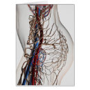 Suche nach immunologie postkarten Gesäß