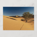 Suche nach spuren postkarten Landschaft