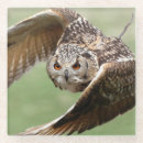 Suche nach braune eule untersetzer Vogel