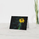 Suche nach susan karten Jede person