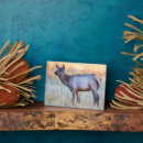 Suche nach kalb fotoplatten Wildtiere