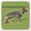 Suche nach deutsche untersetzer Hunde