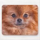 Suche nach hündchen mousepads Schön