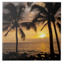 Suche nach palme sonnenuntergang fliesen Landschaft