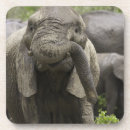Suche nach afrikanischer elefant untersetzer Natur