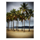 Suche nach palmen und strand poster Baum