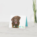 Suche nach schokoladen labrador karten Sie