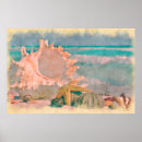 Suche nach strand muscheln poster Sand