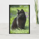 Suche nach glückliche katze Blumen