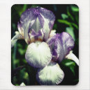 Suche nach bärtigen mousepads Natur
