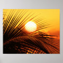Suche nach natur fotografie poster Sonnenuntergang