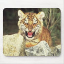 Suche nach wut mousepads Tierjagd