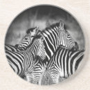 Suche nach die herde untersetzer Wild