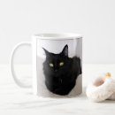Suche nach langhaarige katze Jede person