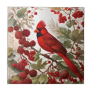 Suche nach vogelliebhaber fliesen Vogelvogel