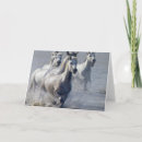 Suche nach pferdebilder karten Pferdephotographie