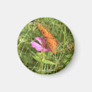 Suche nach kleiner schmetterling magnete Für alle