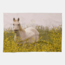 Suche nach weißes pferd geschirr tücher Landschaften