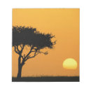 Suche nach sonnenaufgang notizblock Silhouette