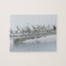 Suche nach flöte puzzle Farbbild