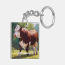 Suche nach hereford Rindfleisch
