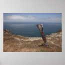 Suche nach insel poster Nautisch